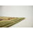 Aracelia Oriental Indoor Rug-71291513