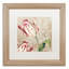 «Peppermint Tulips I» par Jadaya, impression encadrée-20095089-20095090-70650026
