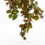 75 cm H Faux Plant