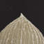 «Hosta C» par Mary Margaret Briggs a, reproduction d'art encadrée à la main-1478264462