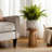 Stoneware Ceramic Planter with Embossed Scale Texture and Scalloped Rim Decorative Modern Pot-602994538