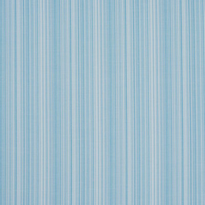 Schumacher X Mark D. Sikes 100% Cotton Fabric