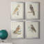 Toile encadrée de qualité supérieure Barn Owl - prête à être accrochée-1140462955-1140462954