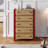 Minimalist Modern Multi-Functional Accent Cabinet