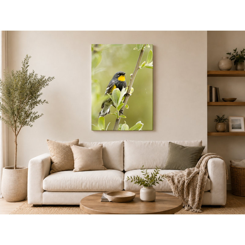«100 Marsh Wren», art mural sur toile, L 14 po x H 11 po