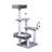 Borrego 51'' H Cat Tree