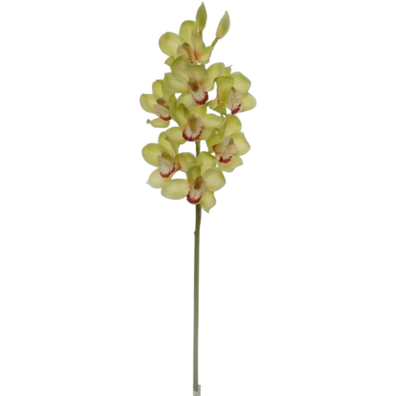 Tige d'orchidée 30 "Cymbidium 30" - paquet de 3