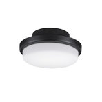 TriAire Custom 7.09'' 1 - Light LED Globe Ceiling Fan Light Kit
