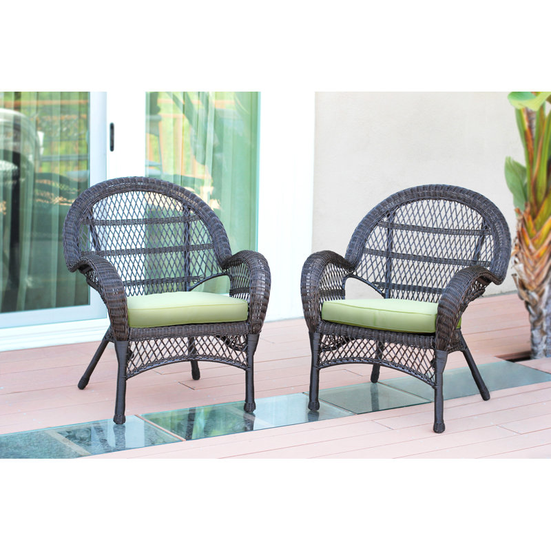 Maltby Wicker Outdoor Lounge Chair, Espresso, Green