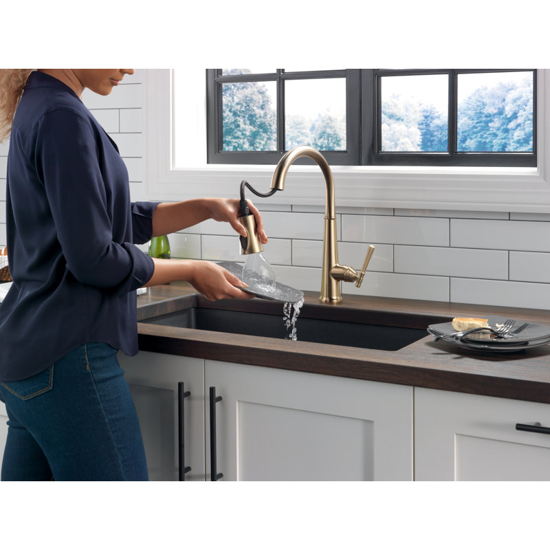 Emmeline Pull Down Single Handle Kitchen Faucet, Lumicoat Champagne Bronze