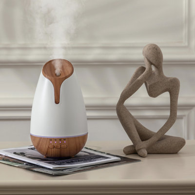 Diffuseur d'huiles essentielles avec fonction d'humidificateur