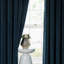 Imperial Rooms Crushed Velvet Eyelet Sheer Curtains-1194262177-1194262168