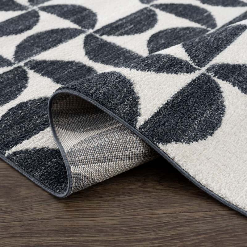 Gotay NUE170A High-Contrast Charcoal and Ivory Area Rug, Rectangle 4' x 6'