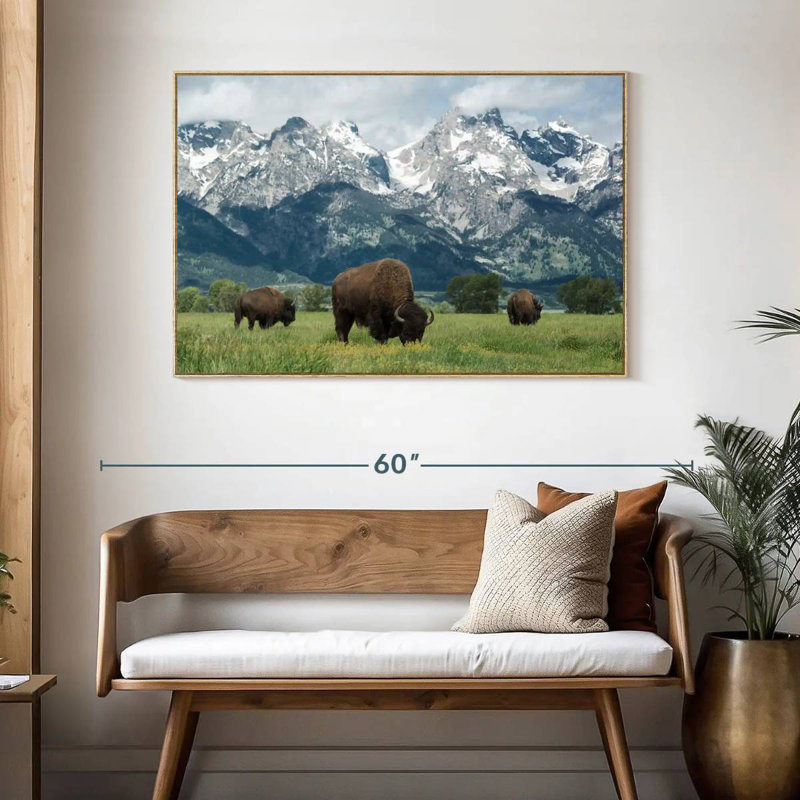 Bison Teton broutant, Cadre flottant en bois naturel, 46 po x 31 po