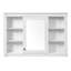Armoire de rangement murale avec miroir