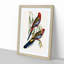 Adelaide Parakeets by Elizabeth Gould - Single Picture Frame Painting-55547487-55547490