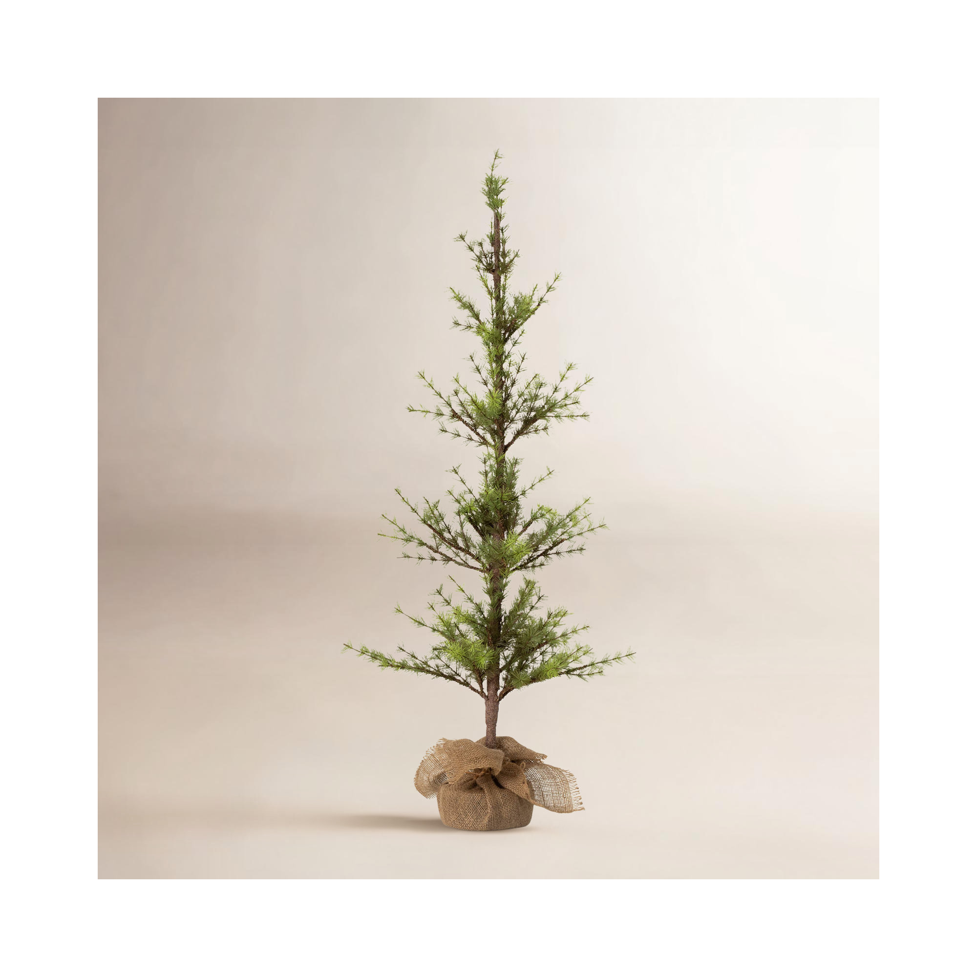 Schary Faux Pine Tree in Wicker/Rattan Pot, 4.1" H x 19.5" W x 19.5" D