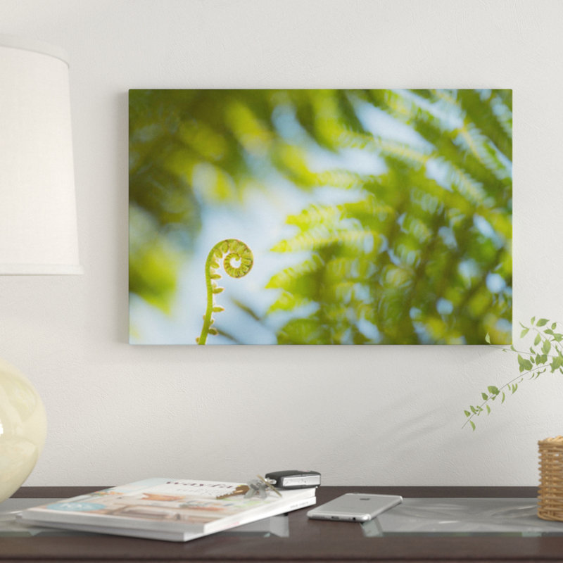 « palm details », reproduction d’impression sur toile, H 12 po x l 18 po x P 1,5 po, Toile tendue, Pas de tapis