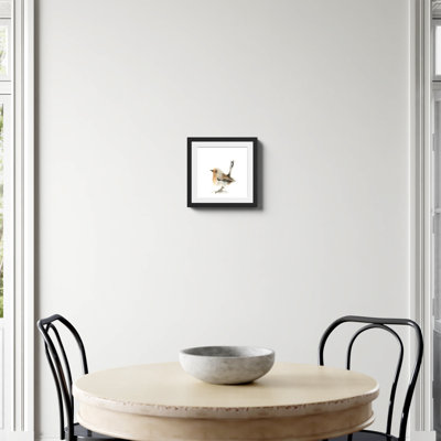 «Little Robin», reproduction encadrée