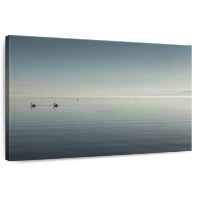 The Salton Sea