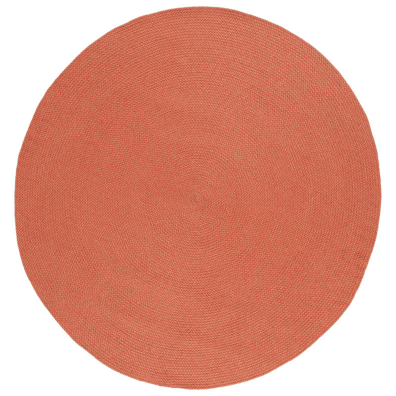 Braided Hand Woven Performance Rug, Round 6'