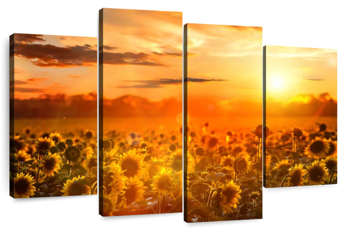 Millwood Pines Alvord Yellow Sunset - Wayfair Canada
