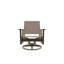 Wexler Outdoor Swivel Lounge Chair-1102391097-1099678821