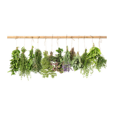 Herbs On A String - No Frame Print on Canvas