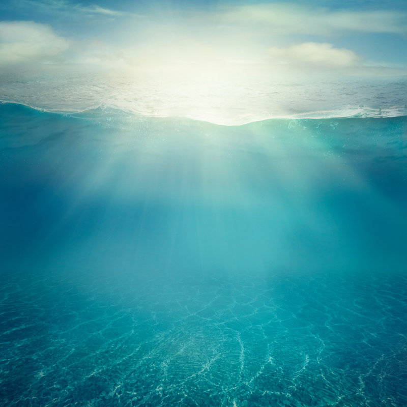 Underwater Background by Mythja - Wrapped Canvas Print, 30cm H x 30cm W x 3.8cm D
