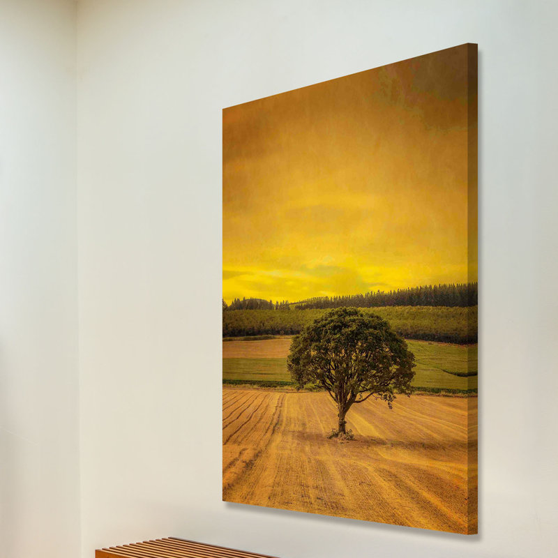Lone Tree At Sunset by Don Schwartz - Wrapped Canvas Print, 152 cm H x 102 cm W