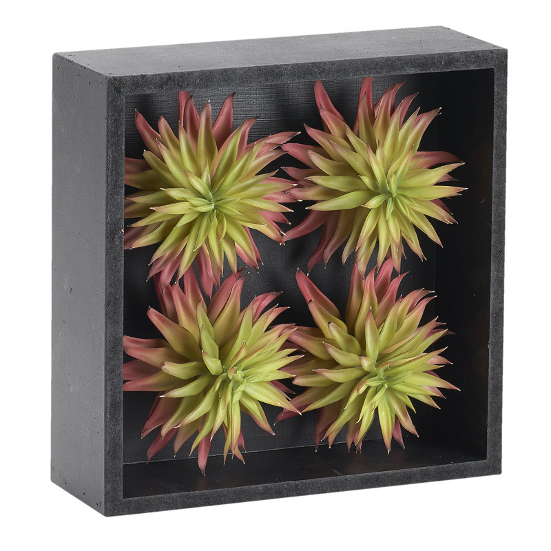 12'' Faux Succulent in Wood Planter, White, Pink/Green