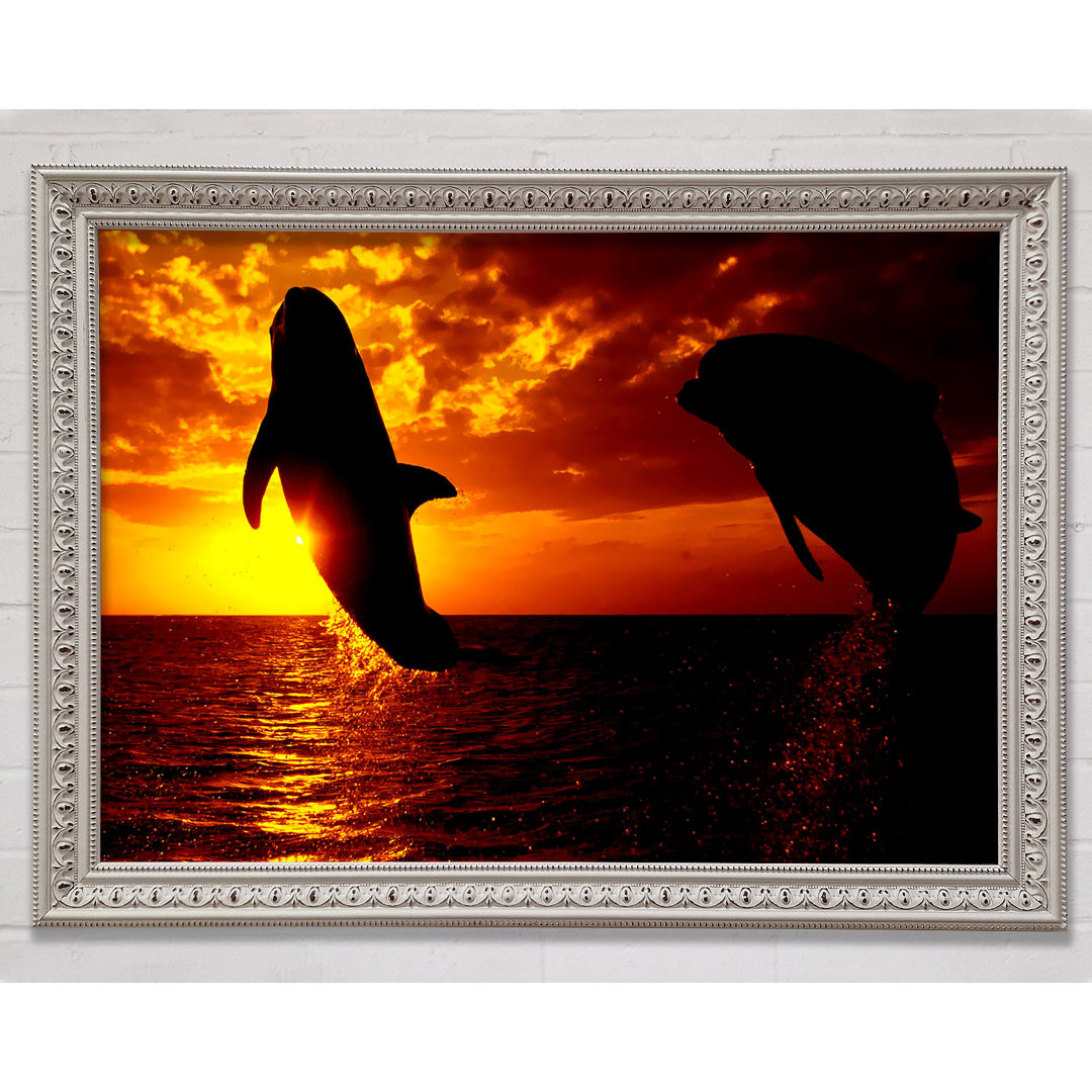 Gerahmter Fotodruck Dolphins Sunglow