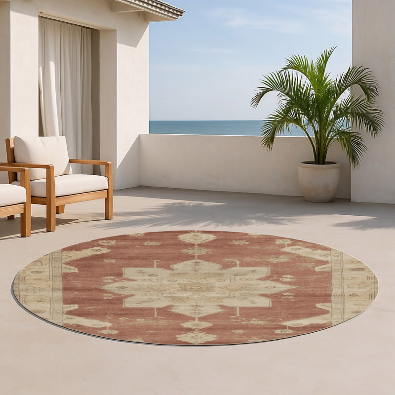 Tapis intérieur et extérieur brun Overdyed, Rond 5 pi