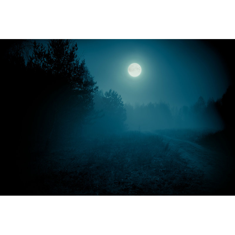 Full Moon Over Forest par - Photographie de toile tendue, L 12 po x H 8 po