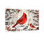 Noël, hiver, oiseaux, cardinal, neige, baies, pin-1358859408