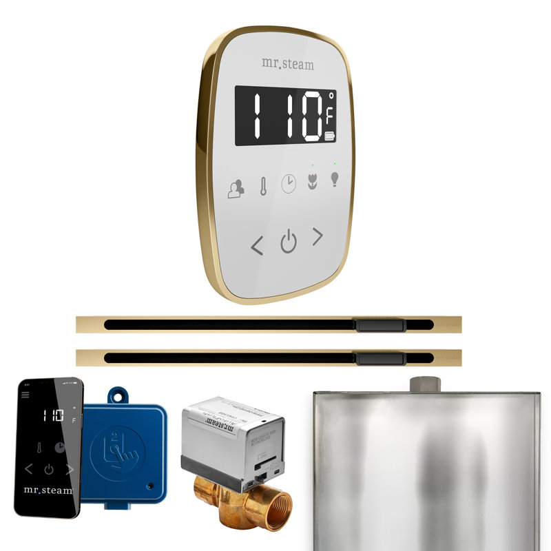 Ensemble de commande de douche à vapeur ButlerFlex Max avec contrôle TempoFlex et tête de vapeur linéaire , Laiton satiné