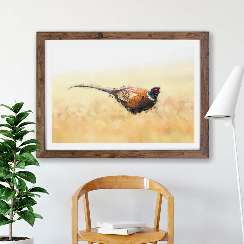 A Pheasant Bird - Framed Print, Walnut, 62cm H x 87cm W x 2cm D
