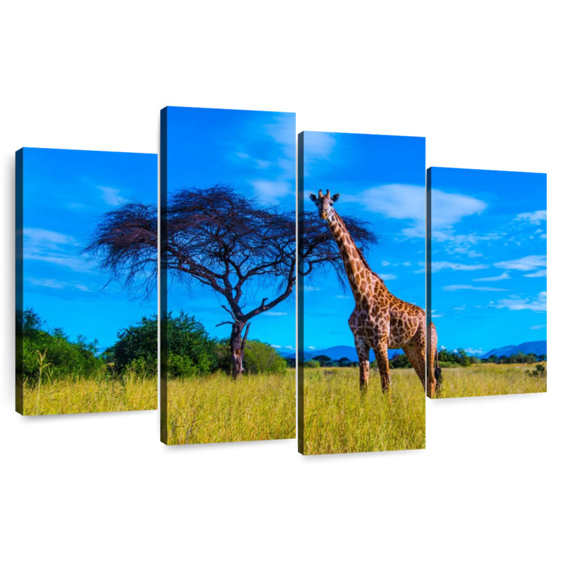 Brampt Ruaha National Park Giraffe