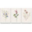 Pastel Wild Flower Daisies-124835434-91875093