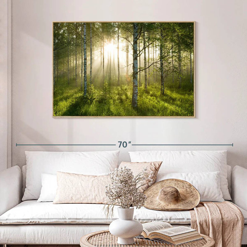 Birch Forest Sunlight, Cadre flottant en bois naturel, 46 po x 31 po