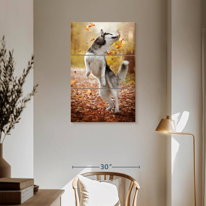 Husky Brampt jouant à l'automne, H 57 po x l 36 po