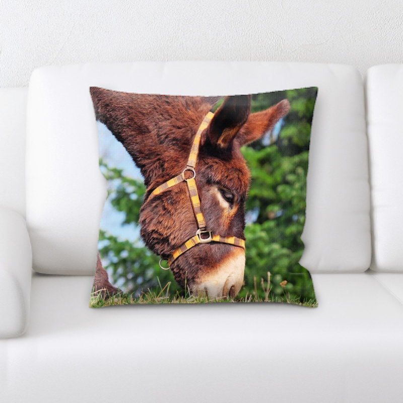 Coussin donkey