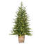 4' H Lighted Artificial Pine Christmas Tree