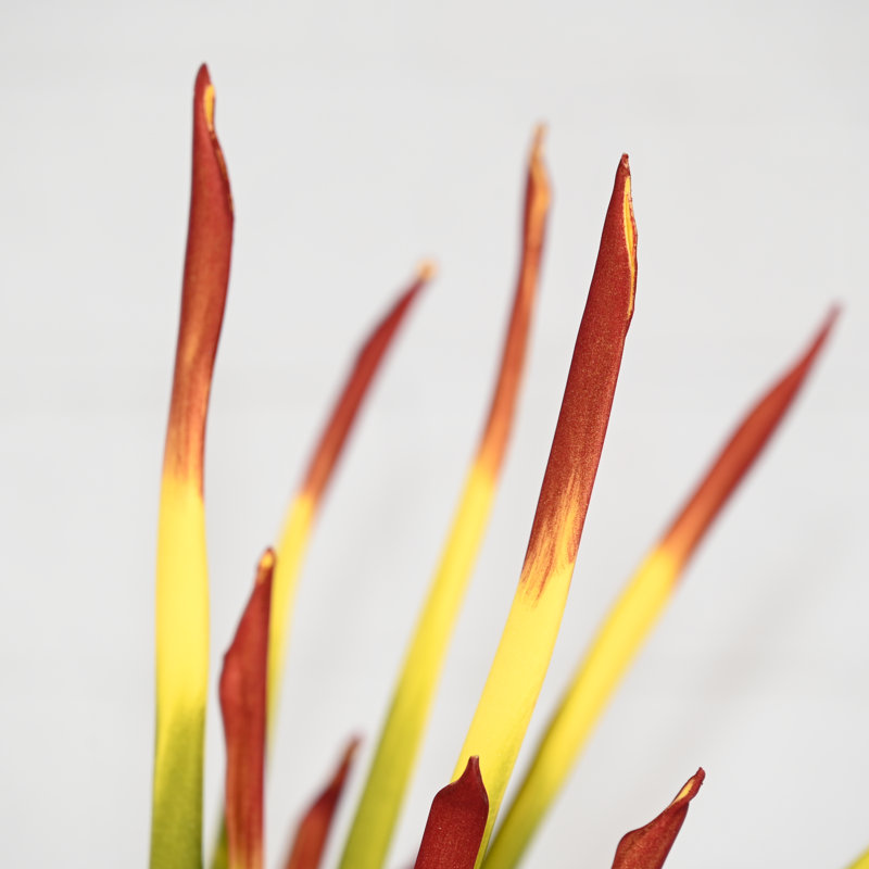 28 "branche de tige de roseau artificielle pour le remplissage de vase, la verdure de campagne pulvérise le long bouquet en vrac de tige pour la fête de mariage