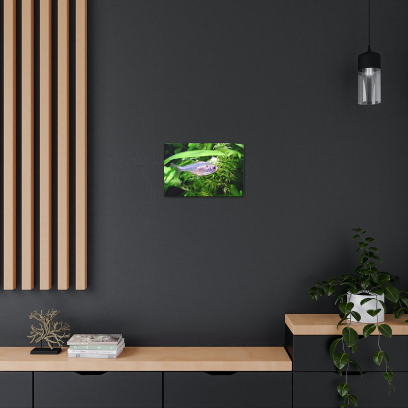 No Frame Print on Canvas