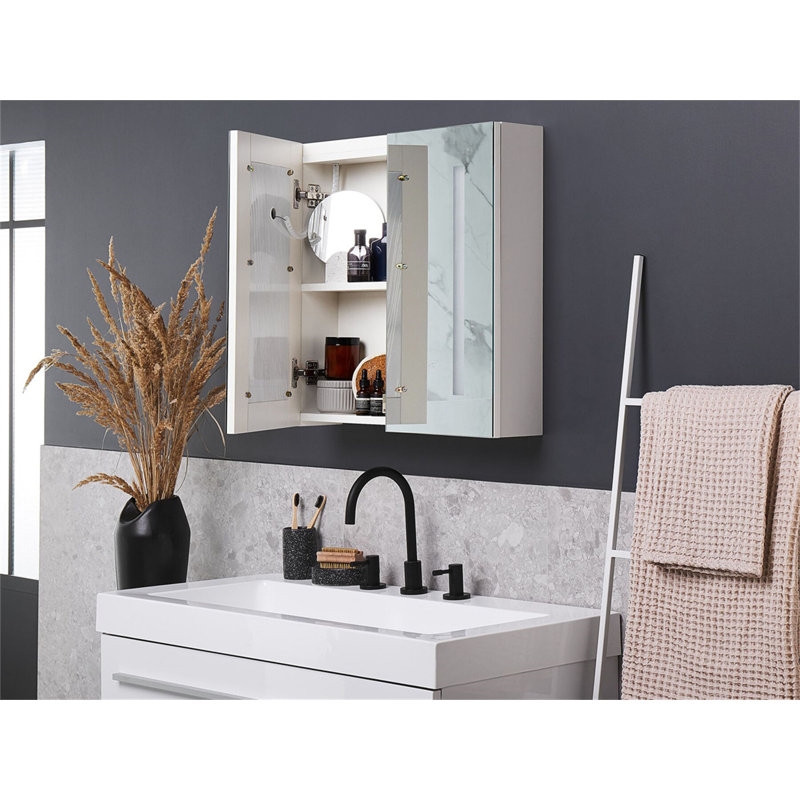 Tefft 600mm W 600mm H Surface Frameless Medicine Cabinet Mirror 2 Fixed