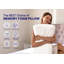 Aphrodite 2-Pack Standard Size Cooling Gel Memory Foam Pillows, Medium Firm-106814224