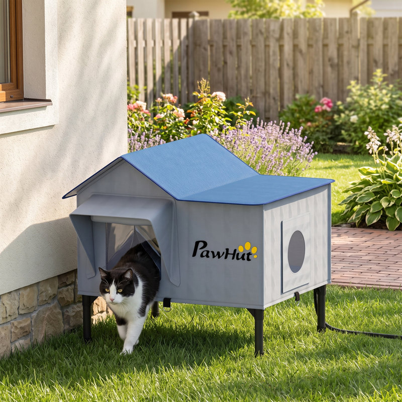 55 cm H Cat Accessories