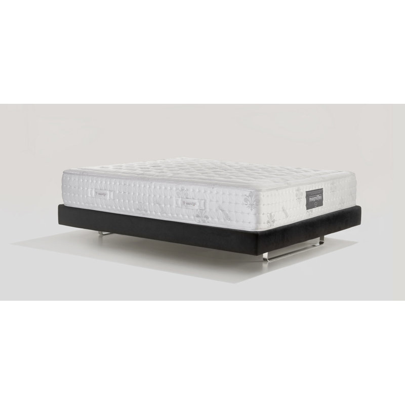 Virtuoso Elegante Dual 12 Twin XL, Twin XL