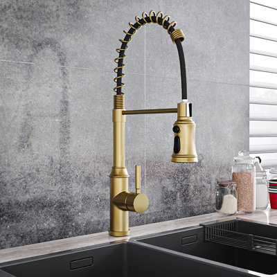 Belfry Kitchen Nolhan Pull Down Kitchen Faucet